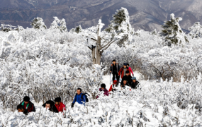 Rất nhiều du khách đến tham dự lễ hội núi tuyết Taekbaeksan